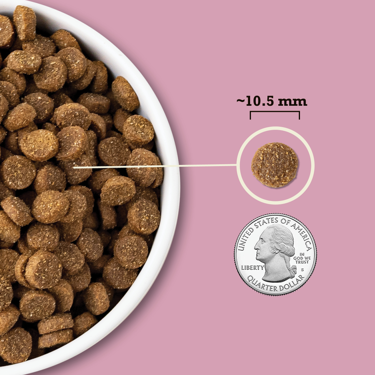 Acana kibble online